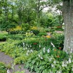 Eco-Friendly Tips for a Healthy and Green Gardening Yard